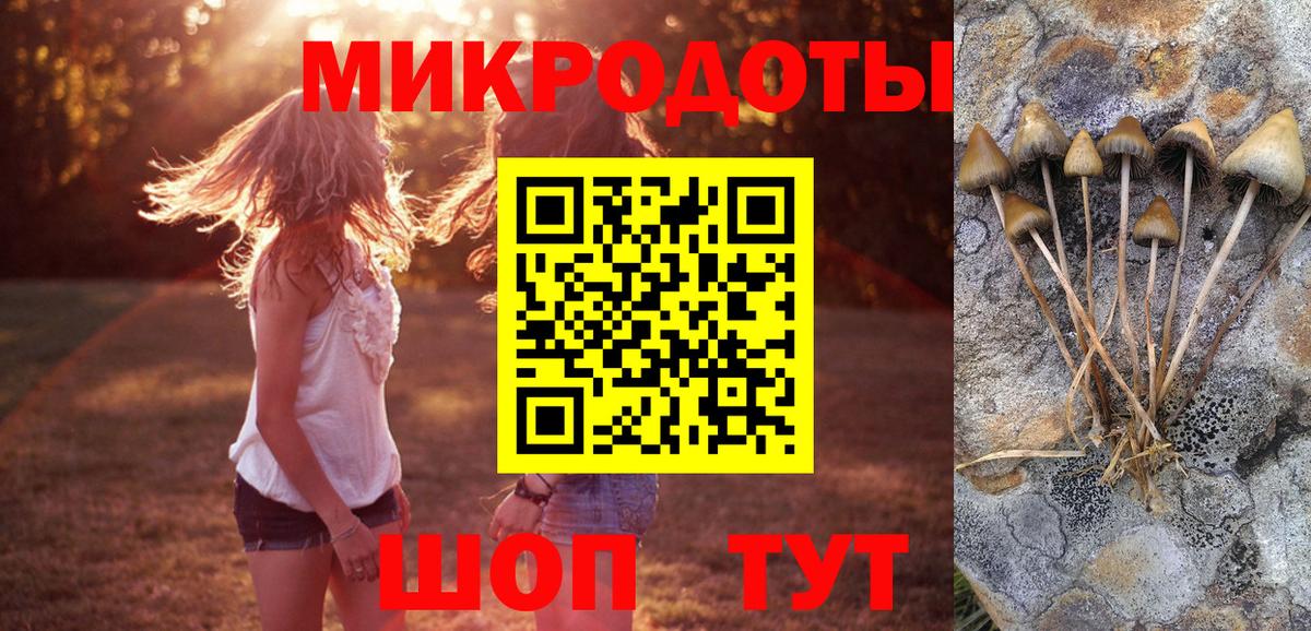 Соль-Илецк  Галлюциногенные грибы мицелий  Вход с VPN 